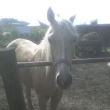 Hoodn� star� fotka... N�kdy z kv�tna =P